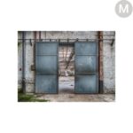 Spinning Doors Medium